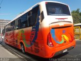 Pullman Bus 305 na cidade de , por Fabian Seguel. Número da foto: #3910677.