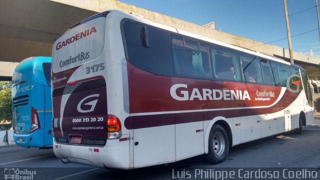 Expresso Gardenia 3175 na cidade de Belo Horizonte, Minas Gerais, Brasil, por Luis Philippe Cardoso Coelho. Número da foto: #3912737.