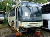 Sucata e Desmanches 25999 na cidade de Guarulhos, São Paulo, Brasil, por Caio  Takeda. Número da foto: #3914931.
