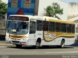 Transportes Fabio's RJ 154.038 na cidade de Rio de Janeiro, Rio de Janeiro, Brasil, por Renan Vieira. Número da foto: #3917643.