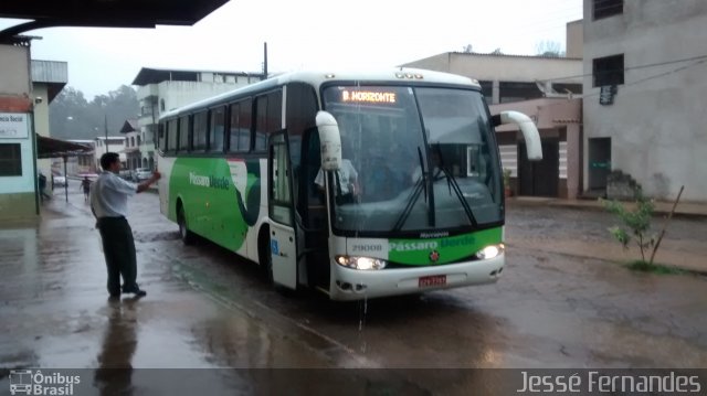 Pássaro Verde 29008 na cidade de Rio Casca, Minas Gerais, Brasil, por Jessé Fernandes. ID da foto: 3919643.