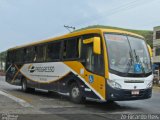 Viação Progresso 29116 na cidade de Petrópolis, Rio de Janeiro, Brasil, por Zé Ricardo Reis. Número da foto: #:id.