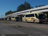 SOGIL - Sociedade de Ônibus Gigante Ltda. 440 na cidade de Gravataí, Rio Grande do Sul, Brasil, por Mauricio Peres Rodrigues. ID da foto: :id.