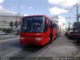 Transporte Coletivo Glória BD134 na cidade de Curitiba, Paraná, Brasil, por Herik Ferreira da Silva. Número da foto: #3931932.