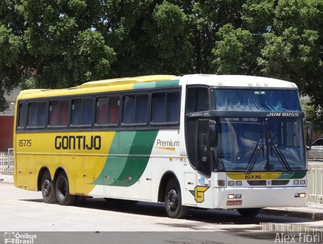 Empresa Gontijo de Transportes 15775 na cidade de Januária, Minas Gerais, Brasil, por Alex Fiori. ID da foto: 3935405.