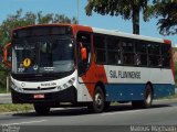Viação Sul Fluminense RJ 202.006 na cidade de Volta Redonda, Rio de Janeiro, Brasil, por Mateus Machado. Número da foto: #3934707.