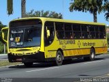 Viação Sul Fluminense 1229 na cidade de Volta Redonda, Rio de Janeiro, Brasil, por Mateus Machado. Número da foto: #3934705.