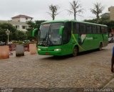 Pássaro Verde 29010 na cidade de Rio Casca, Minas Gerais, Brasil, por Jessé Fernandes. Número da foto: #3938966.