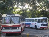 Viação Gato Preto BYE4880 na cidade de São Paulo, São Paulo, Brasil, por Mauro Alcaraz. Número da foto: #3947477.