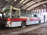 Sucata e Desmanches 5447 na cidade de São Paulo, São Paulo, Brasil, por Caio  Takeda. Número da foto: #3946583.