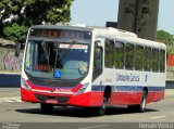 Empresa de Transportes Limousine Carioca RJ 129.035 na cidade de Rio de Janeiro, Rio de Janeiro, Brasil, por Renan Vieira. Número da foto: #3892208.