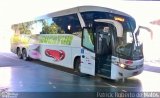 Eucatur - Empresa União Cascavel de Transportes e Turismo 4936 na cidade de Ribeirão Preto, São Paulo, Brasil, por Patrick  Roberto de Matos. Número da foto: #3959392.