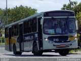 Transcol - Transportes Coletivos Ltda. 810 na cidade de Recife, Pernambuco, Brasil, por Luciano Rodrigues. Número da foto: #:id.