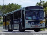 Transcol - Transportes Coletivos Ltda. 810 na cidade de Recife, Pernambuco, Brasil, por Luciano Rodrigues. ID da foto: :id.