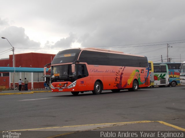 Pullman del Sur 219 na cidade de Santa Cruz, Colchagua, Libertador General Bernardo O'Higgins, Chile, por Pablo Andres Yavar Espinoza. Número da foto: #3905868.