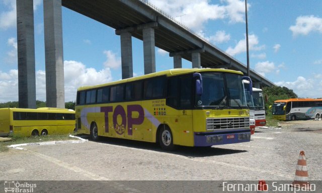 Top Bus Brasil Turismo 9384 na cidade de São Miguel, Rio Grande do Norte, Brasil, por Fernando Sampaio . Número da foto: #4498407.