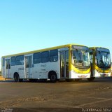 Viação Pioneira 222356 na cidade de Brasília, Distrito Federal, Brasil, por Lyanderson Silva. Número da foto: #4500518.