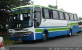 Ônibus Particulares GB 1149 na cidade de Alto Paraíso de Goiás, Goiás, Brasil, por Fernando Gonzalez Garita. Número da foto: #4497996.