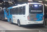 Transwolff Transportes e Turismo 6 6560 na cidade de São Paulo, São Paulo, Brasil, por Matheus Ariel. Número da foto: #4522506.