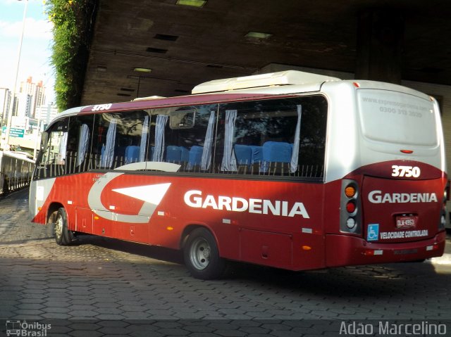 Expresso Gardenia 3750 na cidade de Belo Horizonte, Minas Gerais, Brasil, por Adão Raimundo Marcelino. ID da foto: 4525712.