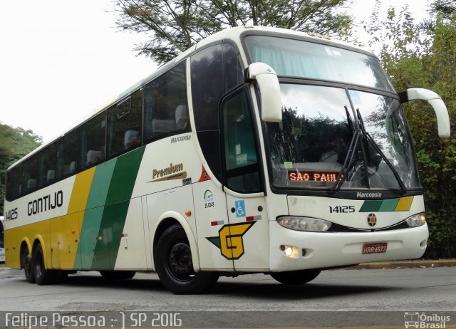 Empresa Gontijo de Transportes 14125 na cidade de São Paulo, São Paulo, Brasil, por Felipe Pessoa de Albuquerque. Número da foto: #4534978.