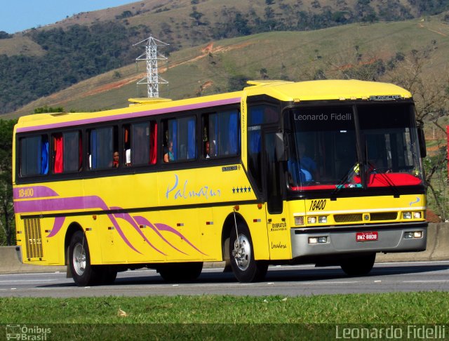 Palmatur Locadora 18400 na cidade de Roseira, São Paulo, Brasil, por Leonardo Fidelli. Número da foto: #4534994.