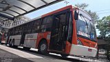 TRANSPPASS - Transporte de Passageiros 8 1875 na cidade de São Paulo, São Paulo, Brasil, por Asprilla Matheus. Número da foto: #4537385.