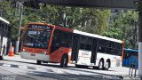 TRANSPPASS - Transporte de Passageiros 8 1875 na cidade de São Paulo, São Paulo, Brasil, por Asprilla Matheus. Número da foto: #4537399.