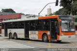 TRANSPPASS - Transporte de Passageiros 8 1116 na cidade de São Paulo, São Paulo, Brasil, por Douglas Paternezi. Número da foto: #4537533.