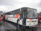 Viação Paulista 3000 na cidade de São Paulo, São Paulo, Brasil, por EDUARDO - SOROCABUS. Número da foto: #4540527.