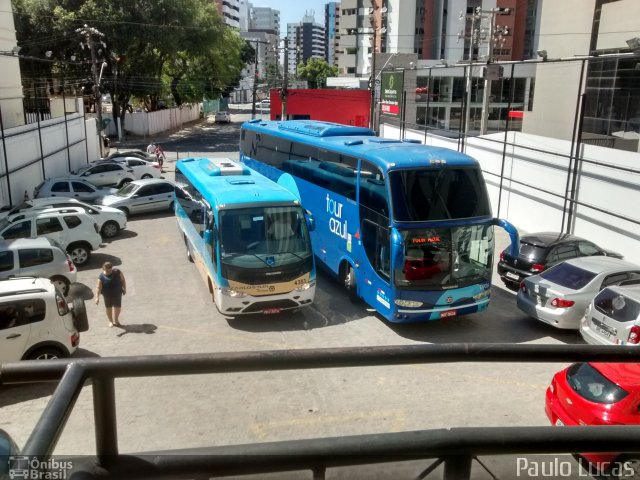 Carlostur Turismo 4383 na cidade de Maceió, Alagoas, Brasil, por Paulo Lucas. ID da foto: 4541259.