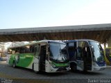 Pássaro Verde 1026 na cidade de Belo Horizonte, Minas Gerais, Brasil, por Daniel Souza. Número da foto: #4542476.