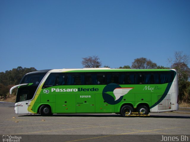 Pássaro Verde 12125 na cidade de Passos, Minas Gerais, Brasil, por Jones Bh. Número da foto: #4501774.