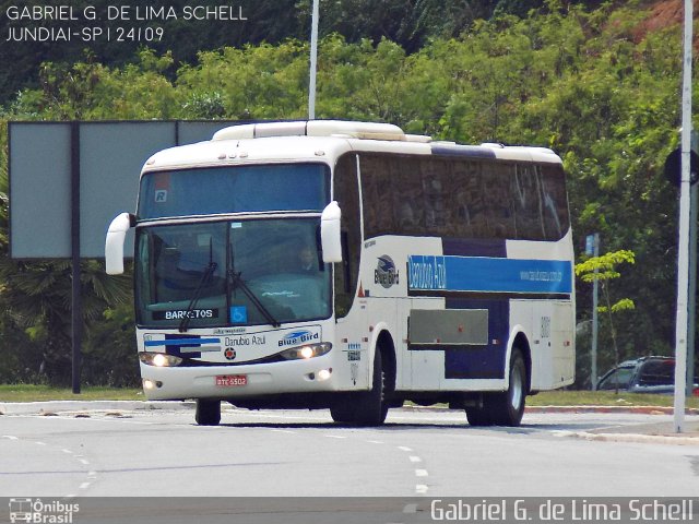 VIDA - Viação Danúbio Azul 8001 na cidade de Jundiaí, São Paulo, Brasil, por Gabriel Giacomin de Lima. Número da foto: #4501137.