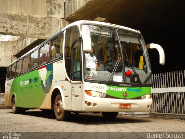 Pássaro Verde 25021 na cidade de Belo Horizonte, Minas Gerais, Brasil, por Daniel Souza. Número da foto: #4546360.