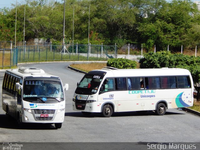 Coopertalse 126 na cidade de Aracaju, Sergipe, Brasil, por Sergio Marques . Número da foto: #4547251.