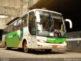 Pássaro Verde 25021 na cidade de Belo Horizonte, Minas Gerais, Brasil, por Daniel Souza. Número da foto: #4546360.