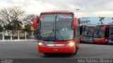 Empresa de Ônibus Pássaro Marron 5610 na cidade de Pindamonhangaba, São Paulo, Brasil, por Alex Ramos Ribeiro. Número da foto: #:id.
