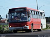 Ônibus Particulares 0280 na cidade de Arapiraca, Alagoas, Brasil, por Melqui Macedo. ID da foto: :id.