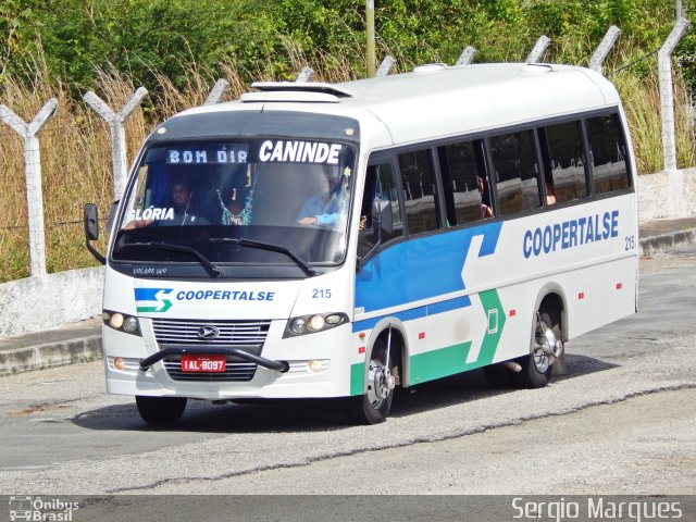 Coopertalse 215 na cidade de Aracaju, Sergipe, Brasil, por Sergio Marques . ID da foto: 4551045.