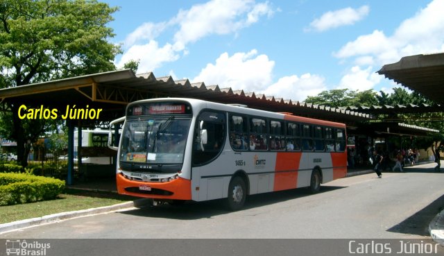 Rápido Araguaia 1465-8 na cidade de Goiânia, Goiás, Brasil, por Carlos Júnior. Número da foto: #4554109.
