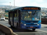 Viação Zurick 30658 na cidade de Belo Horizonte, Minas Gerais, Brasil, por Adão Raimundo Marcelino. Número da foto: #4557414.