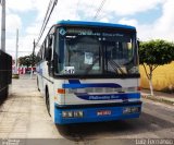 Palmeira Tur 0832 na cidade de Maceió, Alagoas, Brasil, por Luiz Fernando. Número da foto: #4556732.