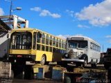 Viação Caprioli 8 na cidade de Campinas, São Paulo, Brasil, por Alberto Gomes Vale. Número da foto: #4555622.