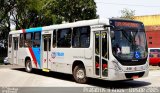 TransTupi Turismo e Fretamento 248 na cidade de Curitiba, Paraná, Brasil, por Cristiano Soares da Silva. Número da foto: #4558809.