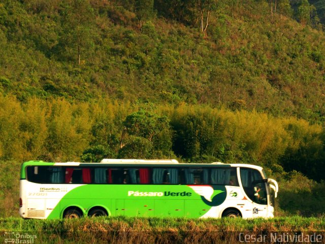 Pássaro Verde 27001 na cidade de Mariana, Minas Gerais, Brasil, por César Natividade. Número da foto: #4562609.