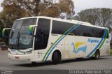 Transporte Argenta - Argentur 644 na cidade de Curitiba, Paraná, Brasil, por Douglas Paternezi. Número da foto: #4561575.