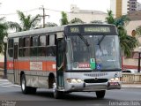 Ribe Transporte 4061 na cidade de Ribeirão Preto, São Paulo, Brasil, por Fernando Reis. ID da foto: :id.