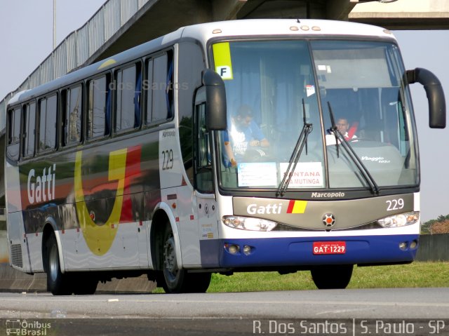 Gatti 229 na cidade de São Paulo, São Paulo, Brasil, por Rafael Santos. Número da foto: #4565514.