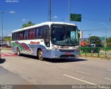 Rosa Turismo 2937 na cidade de Sorocaba, São Paulo, Brasil, por Weslley Kelvin Batista. Número da foto: #4566004.